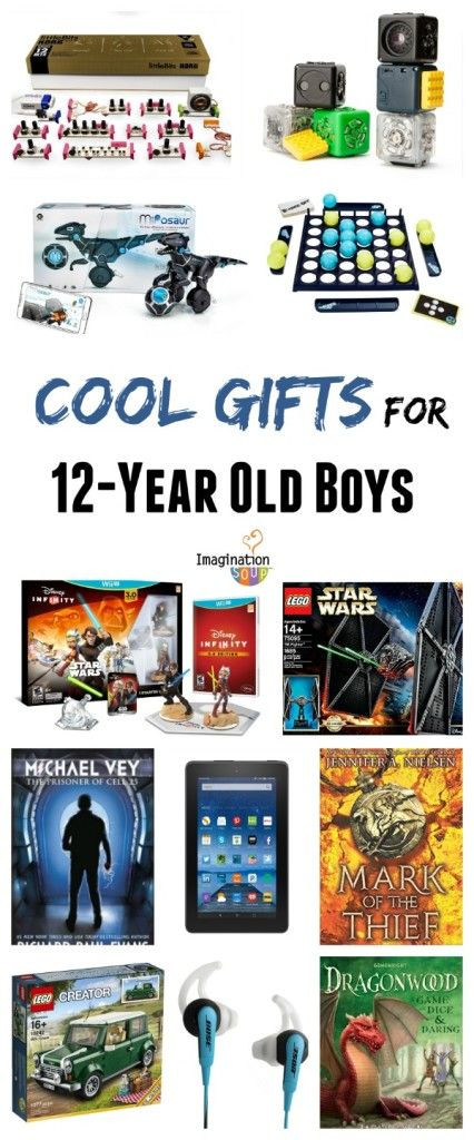 Birthday Gift Ideas For 12 Year Old Boy
 Gifts for 12 Year Old Boys