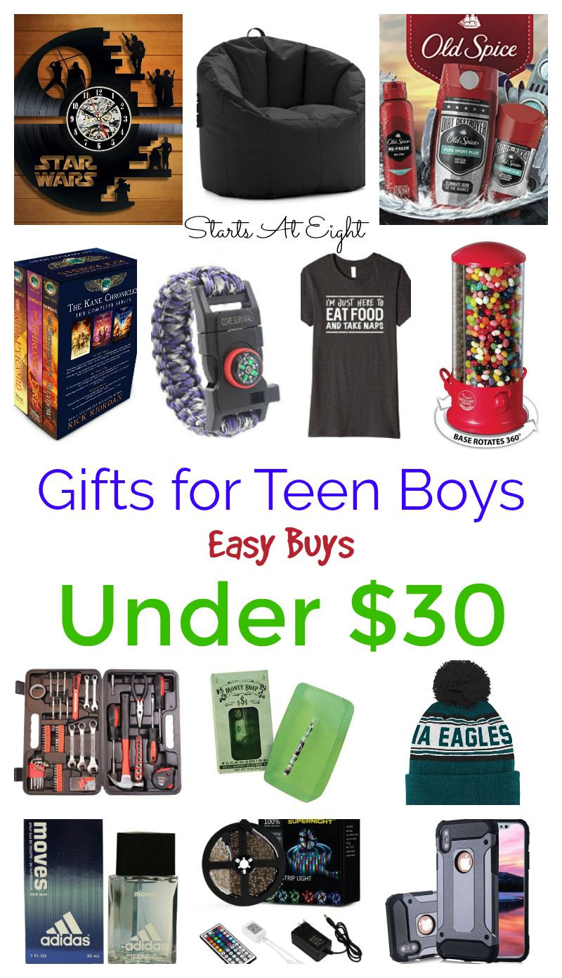 Birthday Gift Ideas For Teen Boys
 Gifts for Teen Boys Easy Buys Under $30