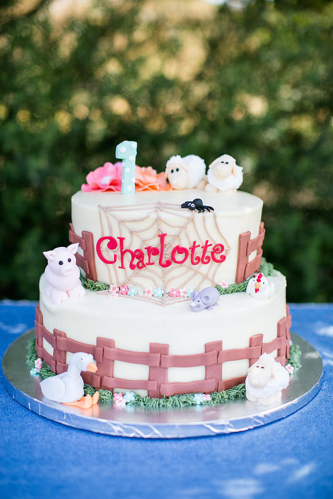 Birthday Party Charlotte Nc
 Charlotte s Web