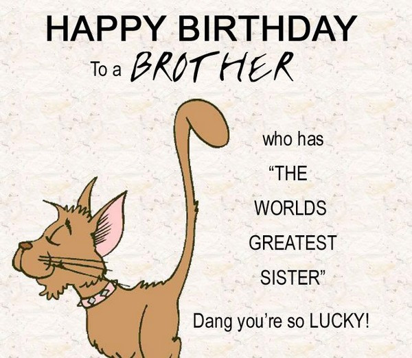 Birthday Wishes For Little Brother
 200 Best Birthday Wishes For Brother 2020 My Happy