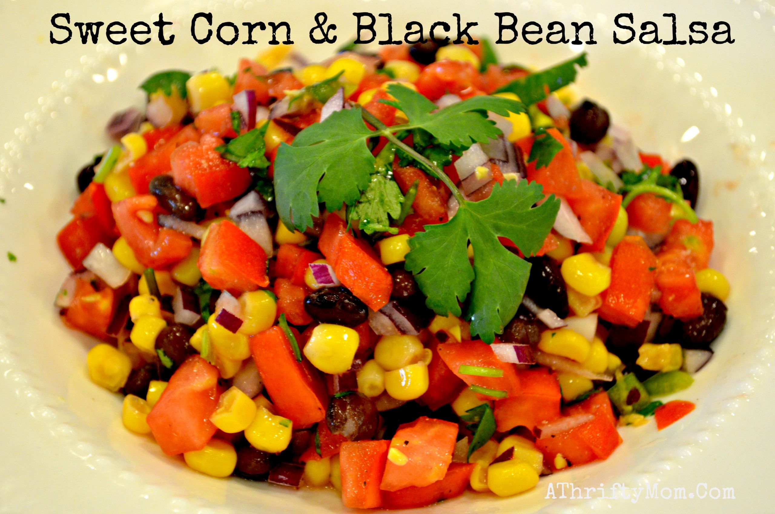 Black Bean Salsa Recipe
 sweet corn and black bean salsa recipe A Thrifty Mom