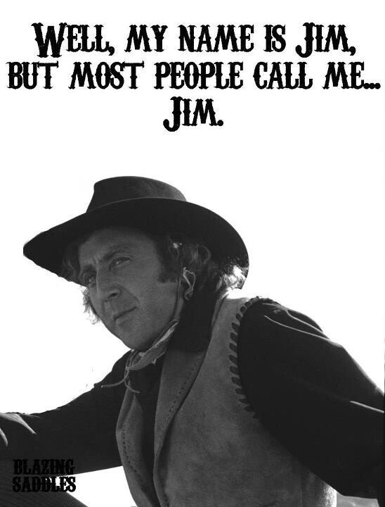Blazing Saddles Quote
 122 best images about Badges We don t need No stinking