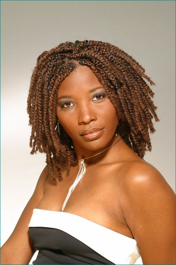 Braided Hairstyles For African American
 52 African Hair Braiding Styles and Beautified