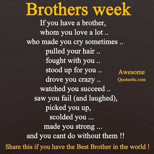 Brother Quotes Funny
 Funny Quotes About Your Brother QuotesGram