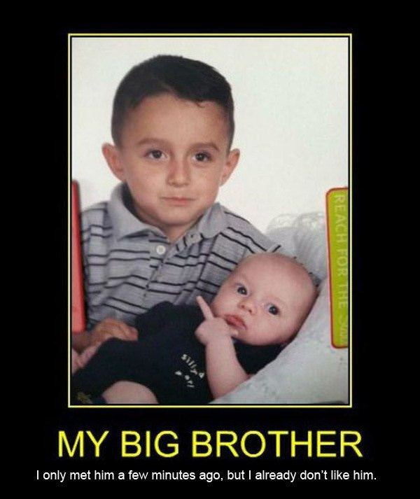 Brother Quotes Funny
 Happy Birthday Funny Older Brother Quotes QuotesGram