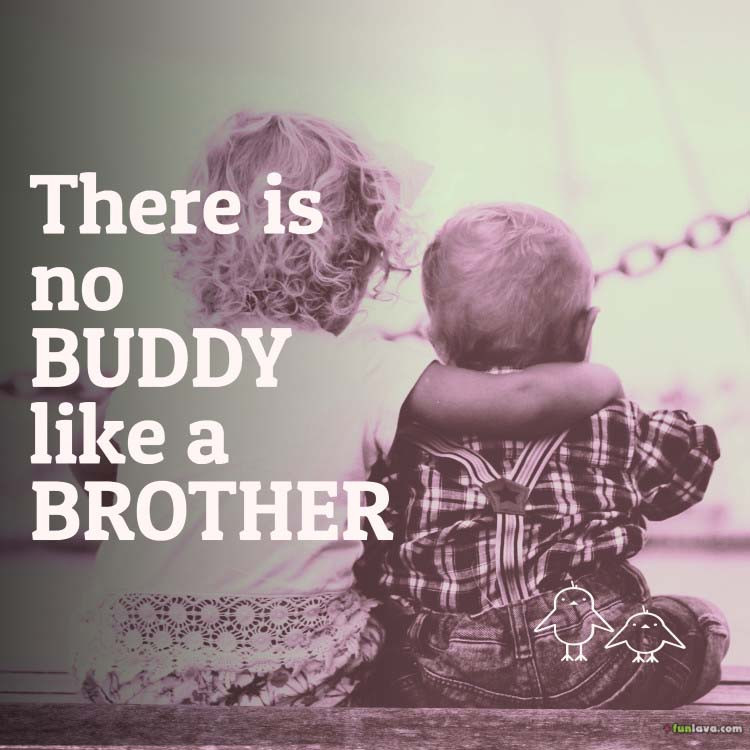 Brother Quotes Funny
 Most Beautiful Quotes about brothers and sisters
