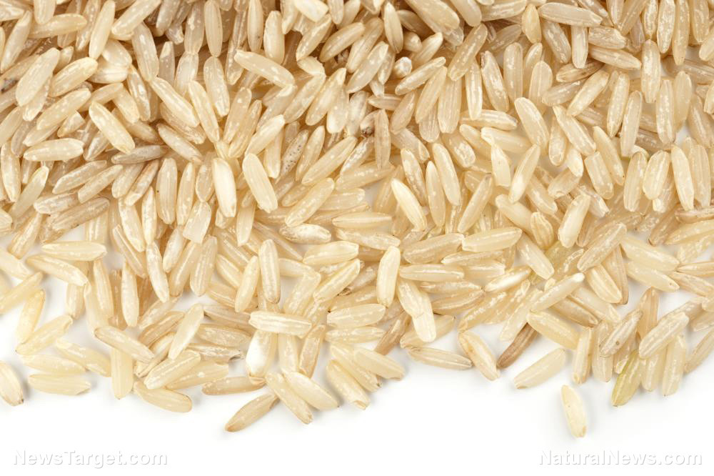 Brown Rice Fiber
 Researchers look at the potential of rice bran in treating