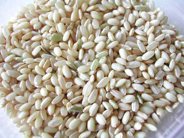 Brown Rice Fiber
 fiber – LIVIT