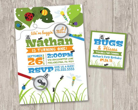 Bug Birthday Invitations
 We re buggin out Birthday Invitations Bug Party