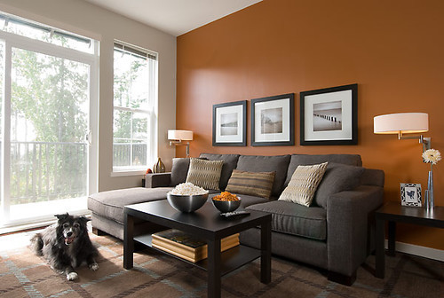 Burnt Orange Living Room Ideas
 The burnt orange wall is stunning What is its exact color