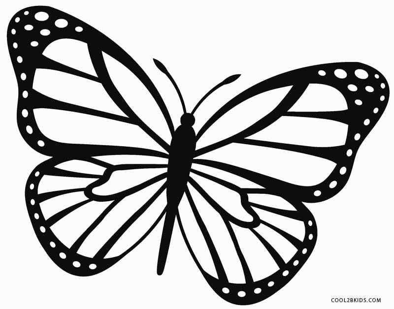 Butterfly Printable Coloring Pages
 Printable Butterfly Coloring Pages For Kids