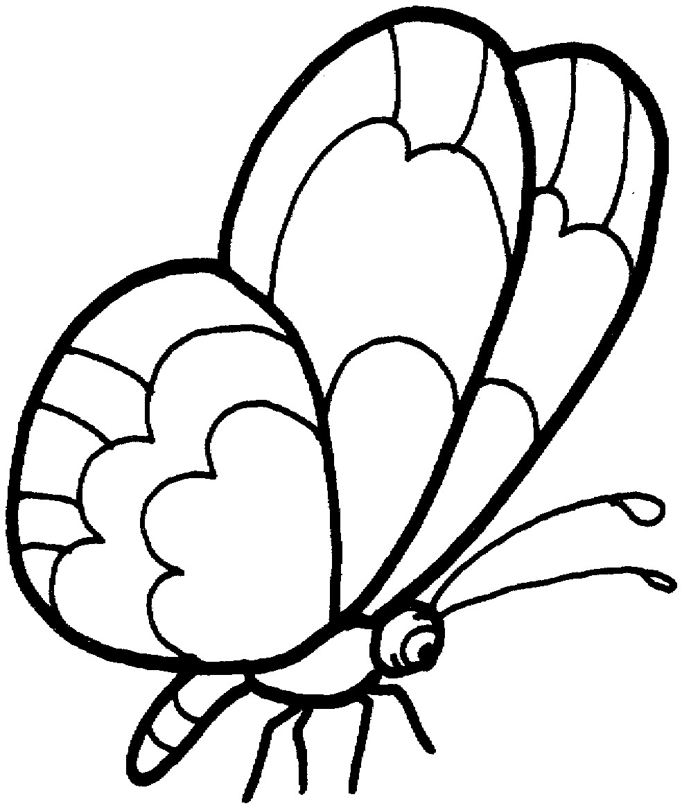 Butterfly Printable Coloring Pages
 Butterfly Coloring Pages
