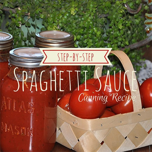 Canning Spaghetti Sauce
 Spaghetti Sauce Canning Recipe Step by Step
