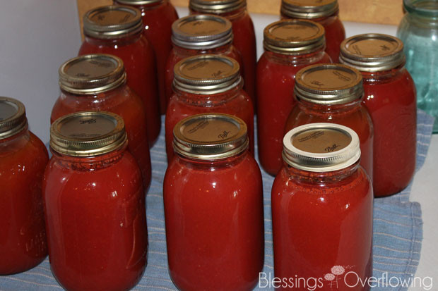Canning Tomato Juice
 In the Garden A Long Overdue Update Blessings Overflowing