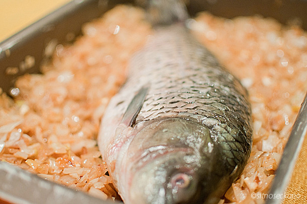 Carp Fish Recipes
 Roasted Carp on a Bed of Caramelized ions