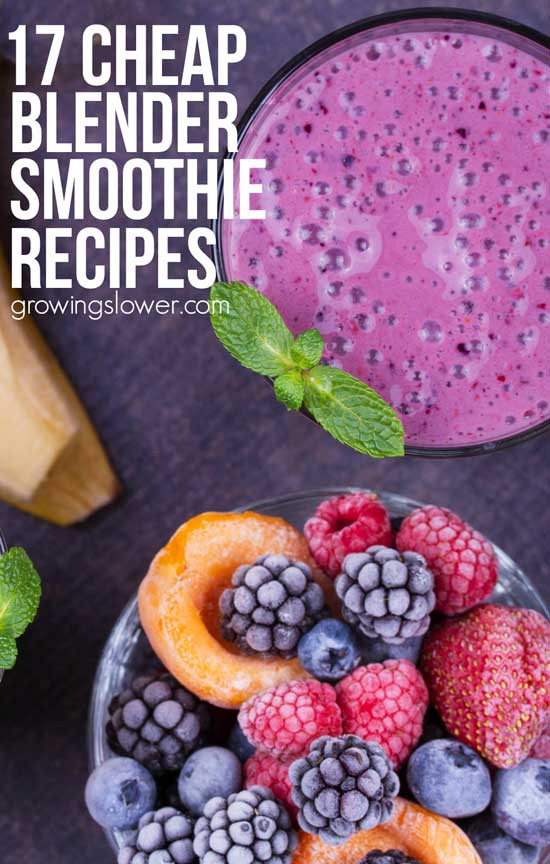 Cheap Smoothie Recipes
 Best Cheap Smoothie Blender 17 Smoothie Recipes to Make