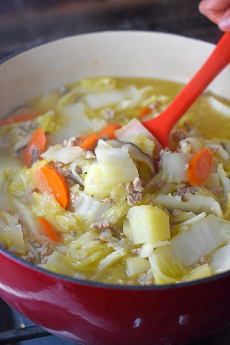 Chinese Cabbage Soup
 simple chinese cabbage chicken soup recipe