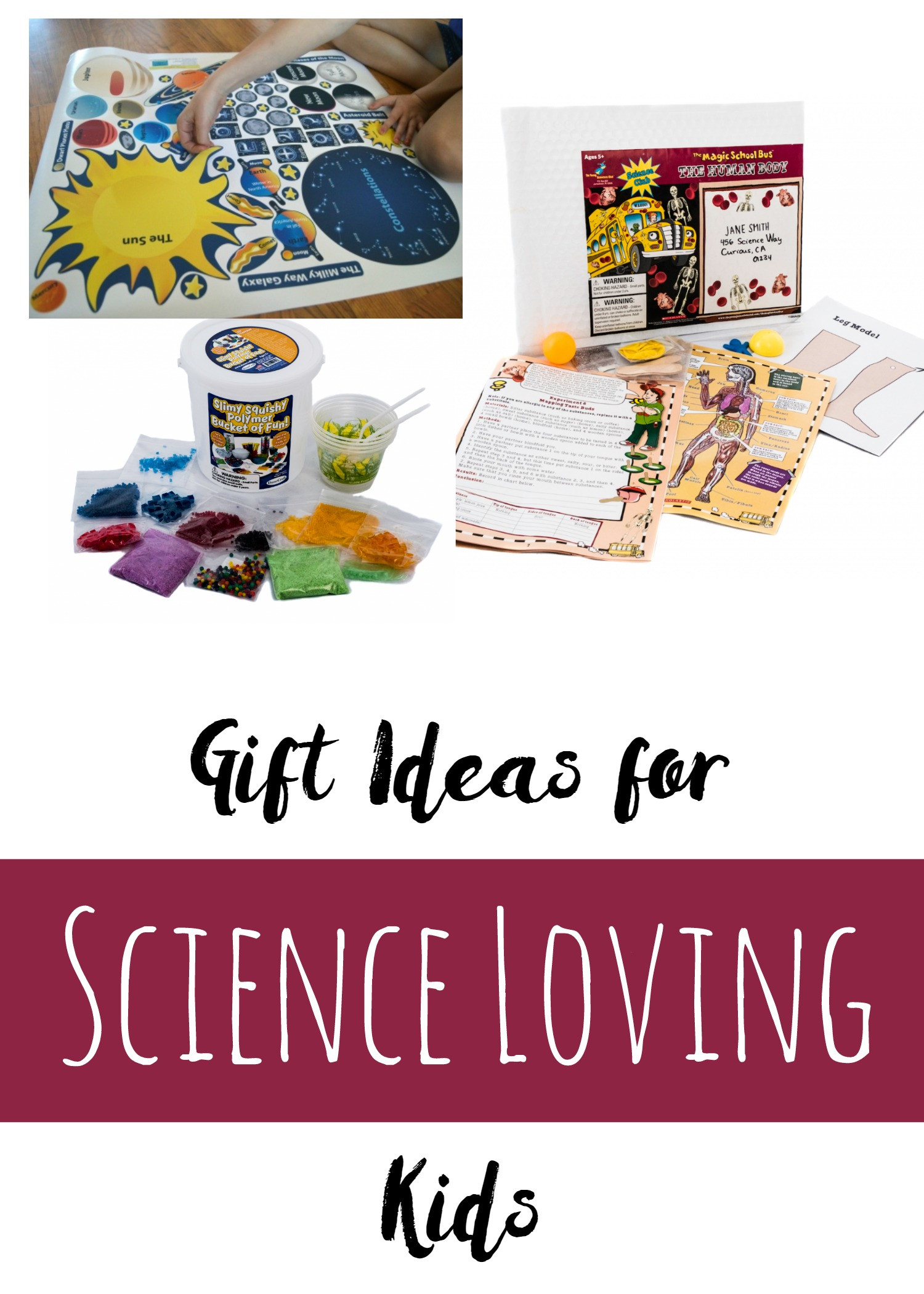 Christian Gifts For Children
 Gift Ideas for Science Loving Kids Christian Homeschool