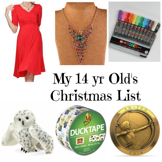 Christmas Gift Ideas For 14 Year Old Daughter
 This is my 14 Year Old Daughter s Christmas List