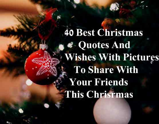 Christmas Quotes Friendship
 Best christmas quotes wishe