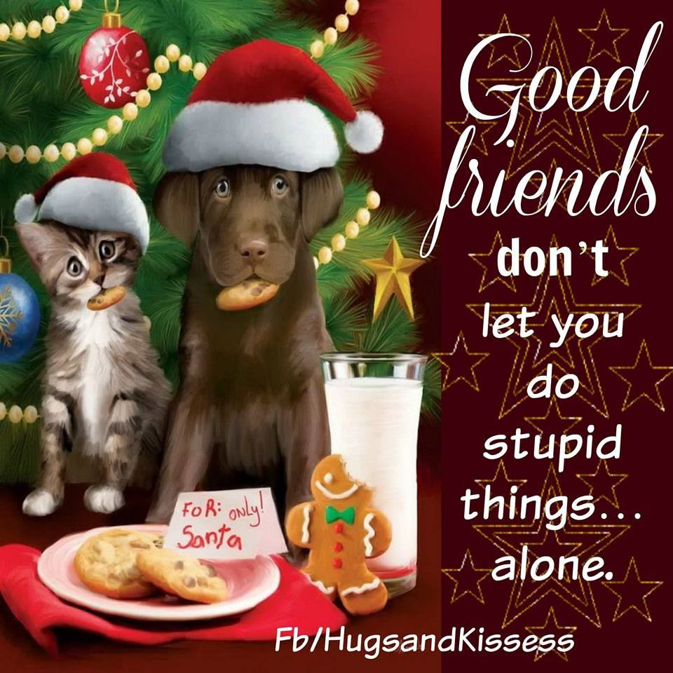 Christmas Quotes Friendship
 Cute Christmas Quotes About Friendship s