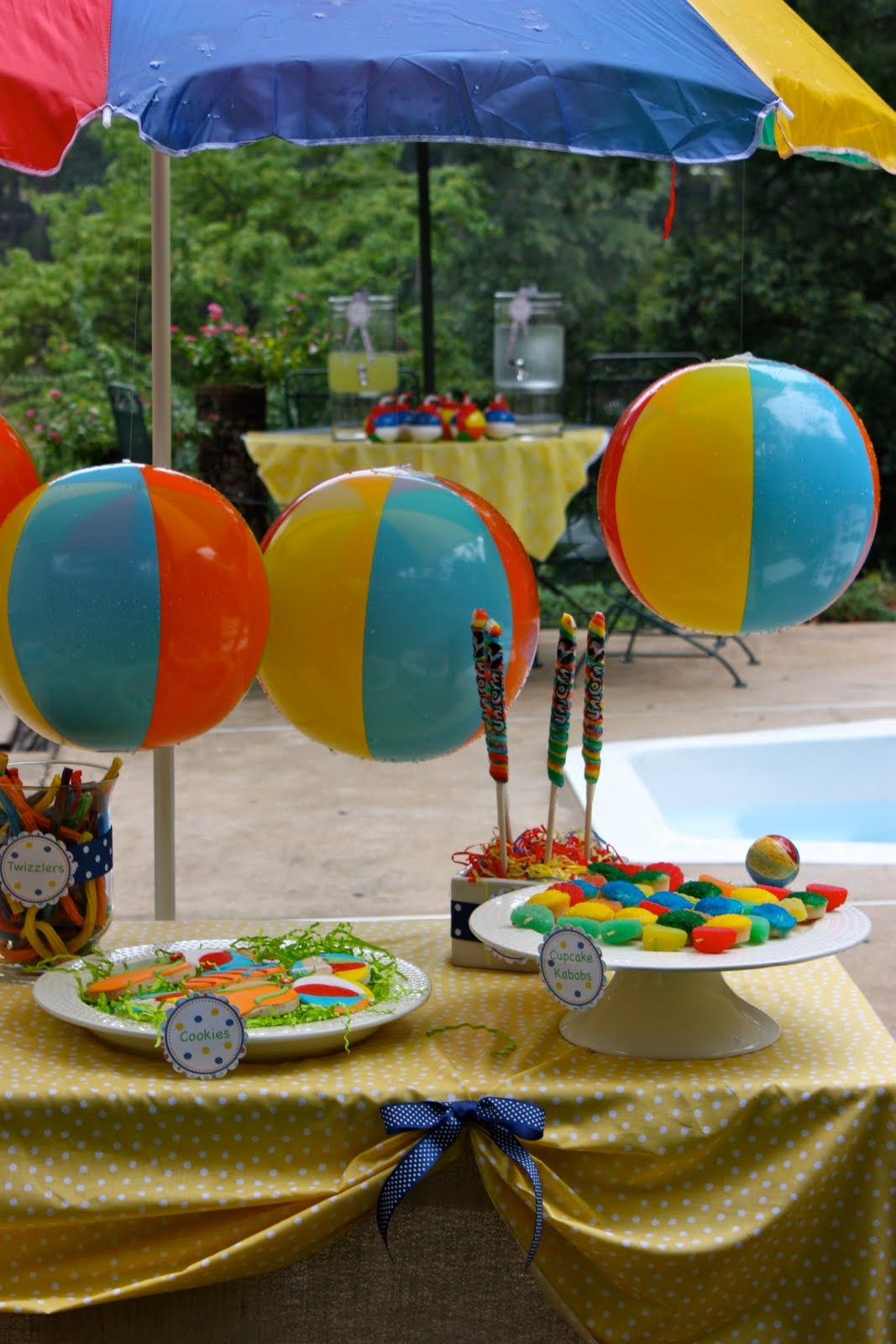 College Pool Party Ideas
 Splish Splash Pool Party Theme Twizlers Beach balls