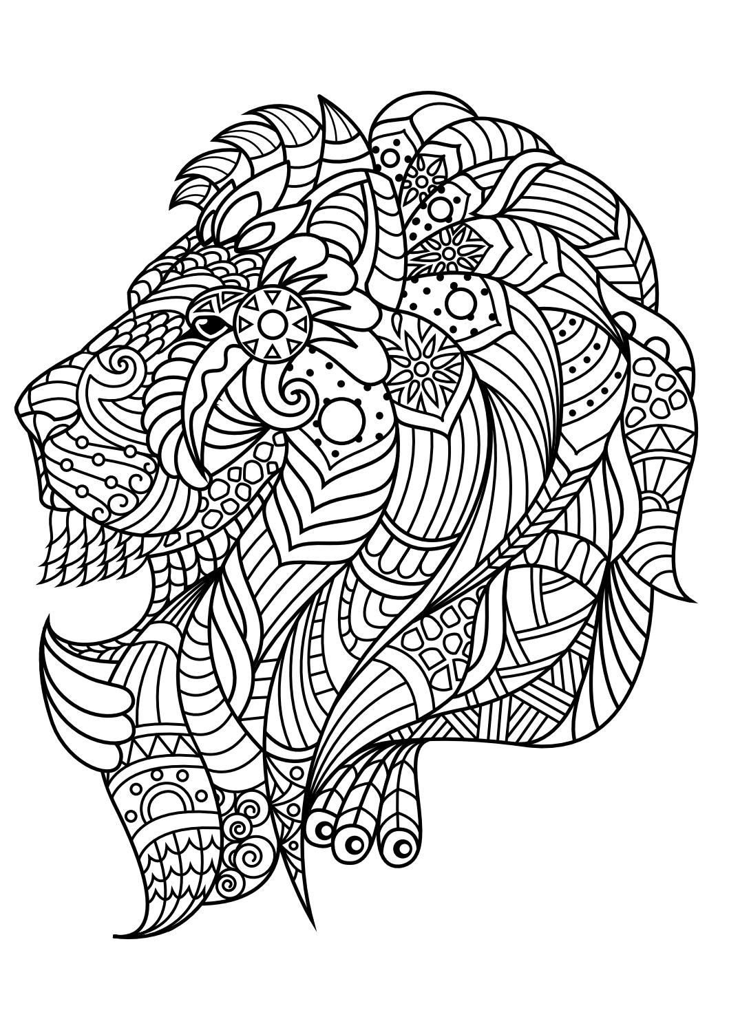 Coloring Pages For Adults Animals
 Animal coloring pages pdf