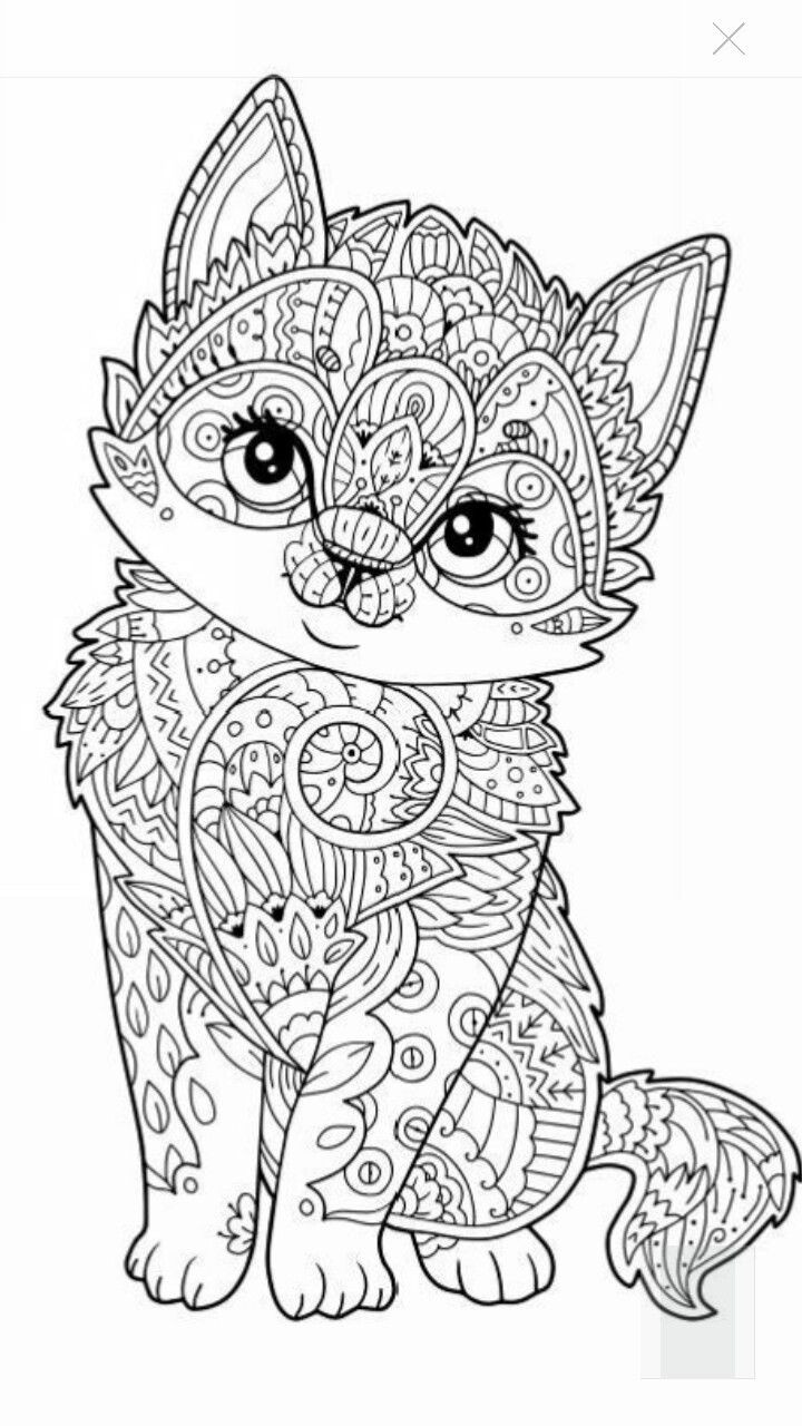 Coloring Pages For Adults Animals
 10 Cats who made Hilariously Poor Decisions