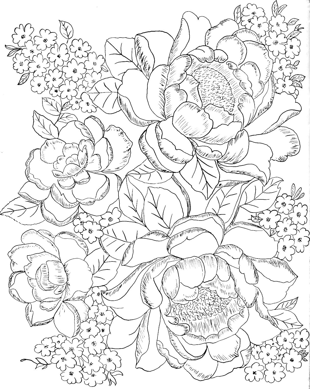 Coloring Pages For Adults Flowers
 Digital Two for Tuesday Digital Two for Tuesday 172