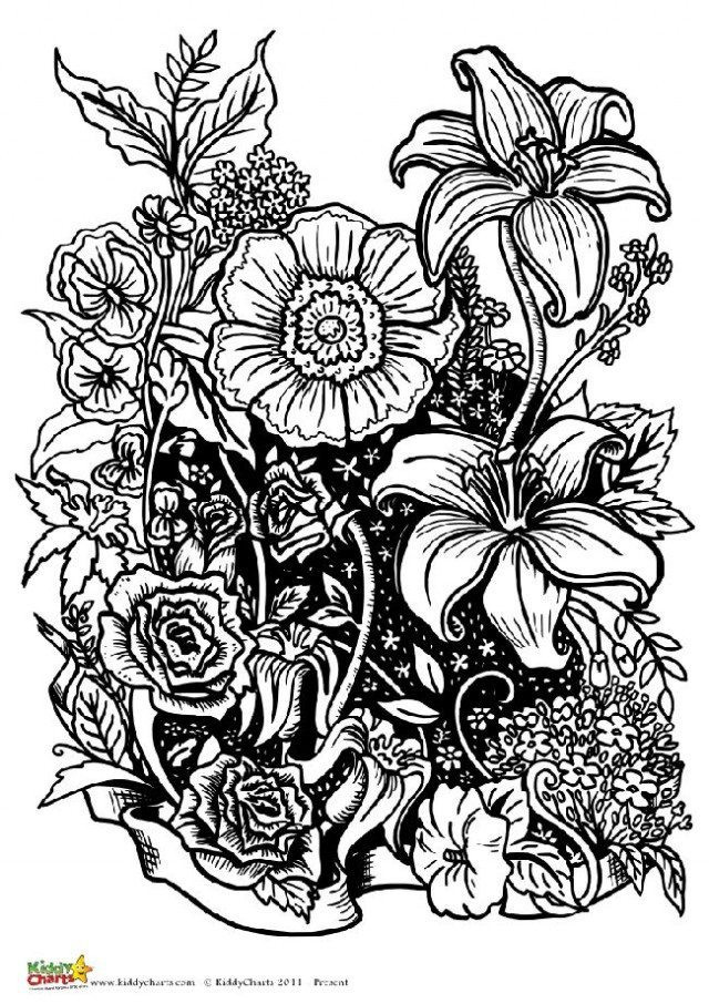 Coloring Pages For Adults Flowers
 Four free flower coloring pages for adults