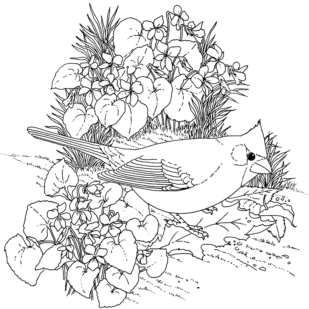 Coloring Pages For Adults Flowers
 Flowers Coloring Pages