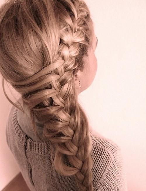 Cool French Braid Hairstyles
 Cool side french braid Hair