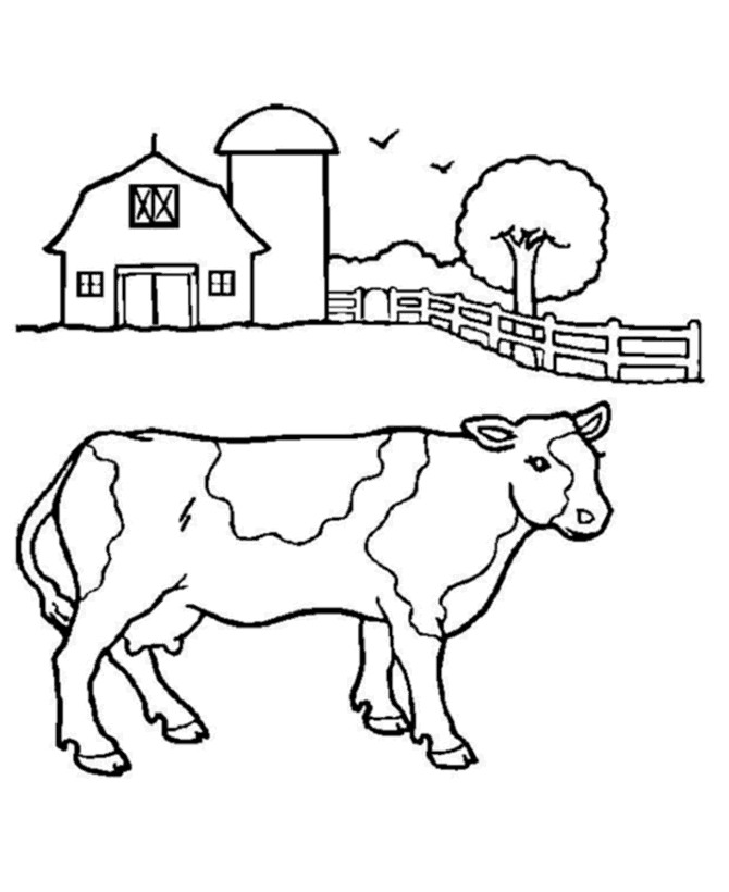 Cow Coloring Pages Free Printable
 Cute Cow Animal Coloring Books For Kids Drawing