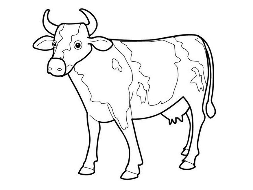 Cow Coloring Pages Free Printable
 Free Printable Cow Coloring Pages For Kids Clip Art Library