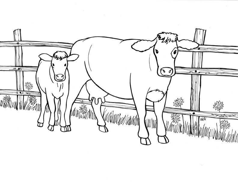 Cow Coloring Pages Free Printable
 Free Printable Cow Coloring Pages For Kids