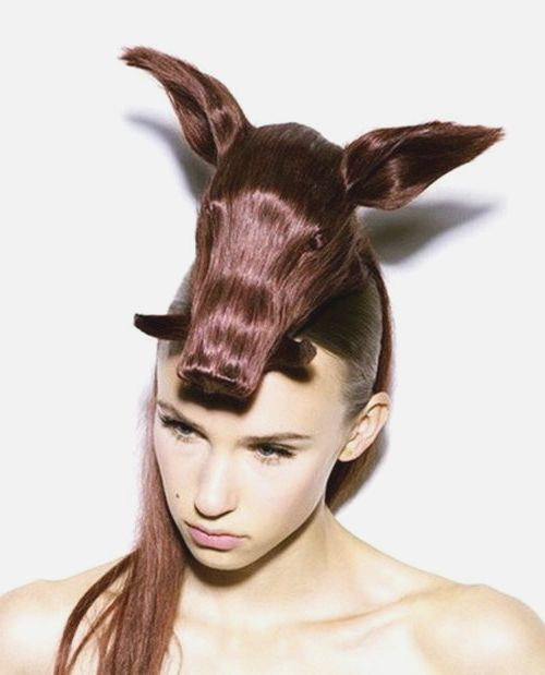 Crazy Cool Hairstyles
 14 The Best Crazy Hair Day ‘Dos Ever