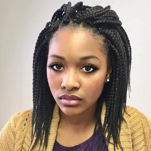 Crochet Micro Braids Hairstyles
 40 Crochet Braids Hairstyles for Your Inspiration
