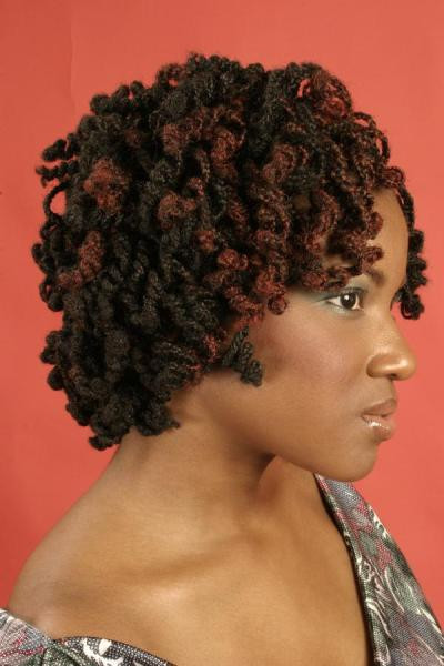 Curls Hairstyles With Braids
 Curly braided two toned hairstyle thirstyroots