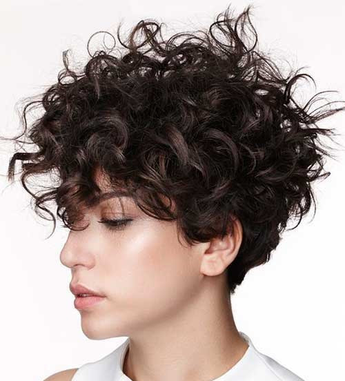 Curly Hairstyles Black Hair
 20 Alternatives About Short Curly Hairstyles for Women