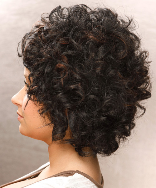 Curly Hairstyles Black Hair
 Short Curly Casual Braided Hairstyle Black Hair Color