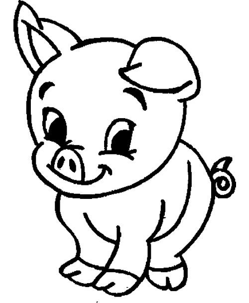 Cute Baby Pig Coloring Pages
 Cute Baby Animal Pig Coloring Pages