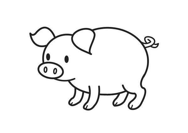 Cute Baby Pig Coloring Pages
 Cute Baby Pig Coloring Pages