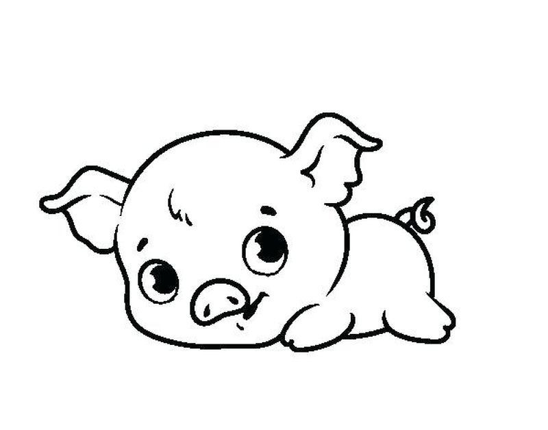 Cute Baby Pig Coloring Pages
 Cute Pig Coloring Pages Ideas