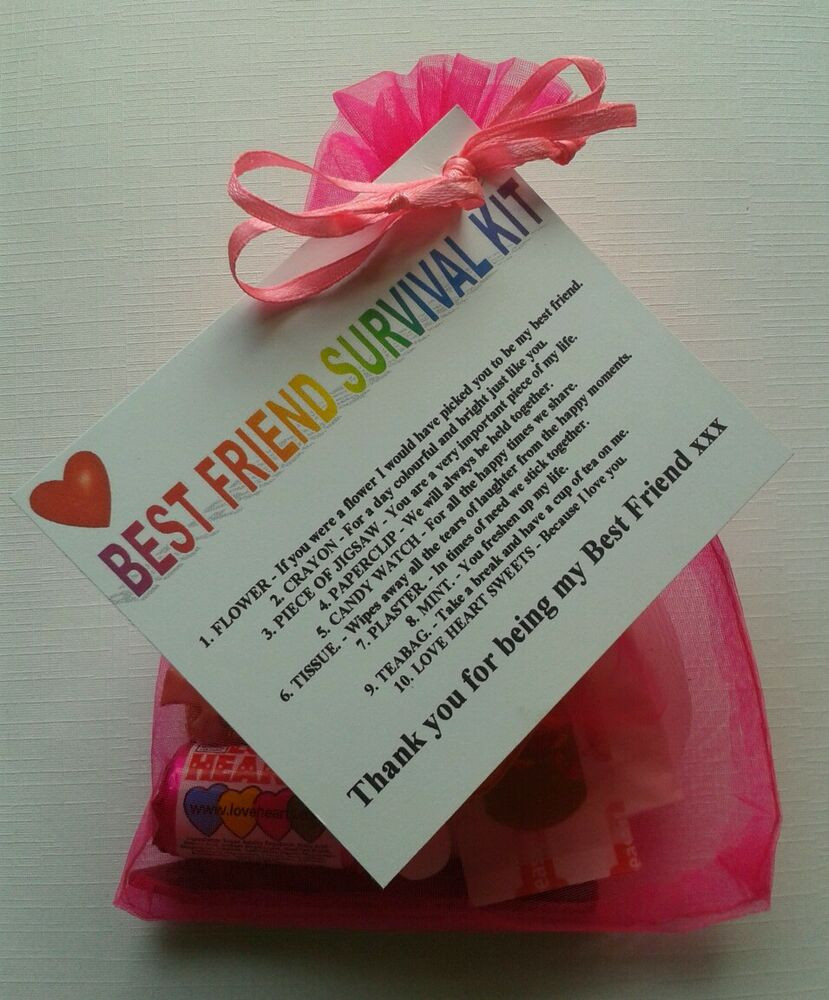 Cute Gift Ideas For Best Friend
 BEST FRIEND Survival Kit Birthday Keepsake Gift Present
