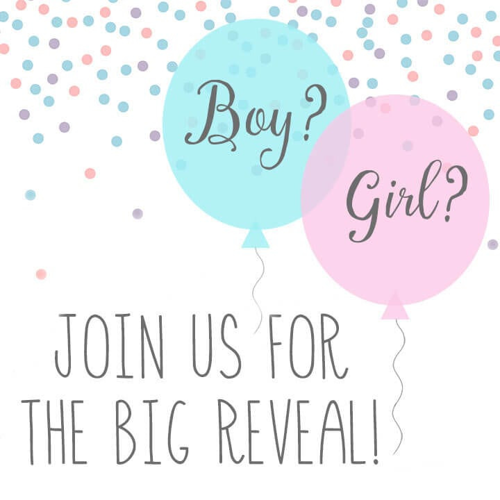 Cute Ideas For A Gender Reveal Party
 Baby Gender Reveal Party Ideas Happiness is Homemade