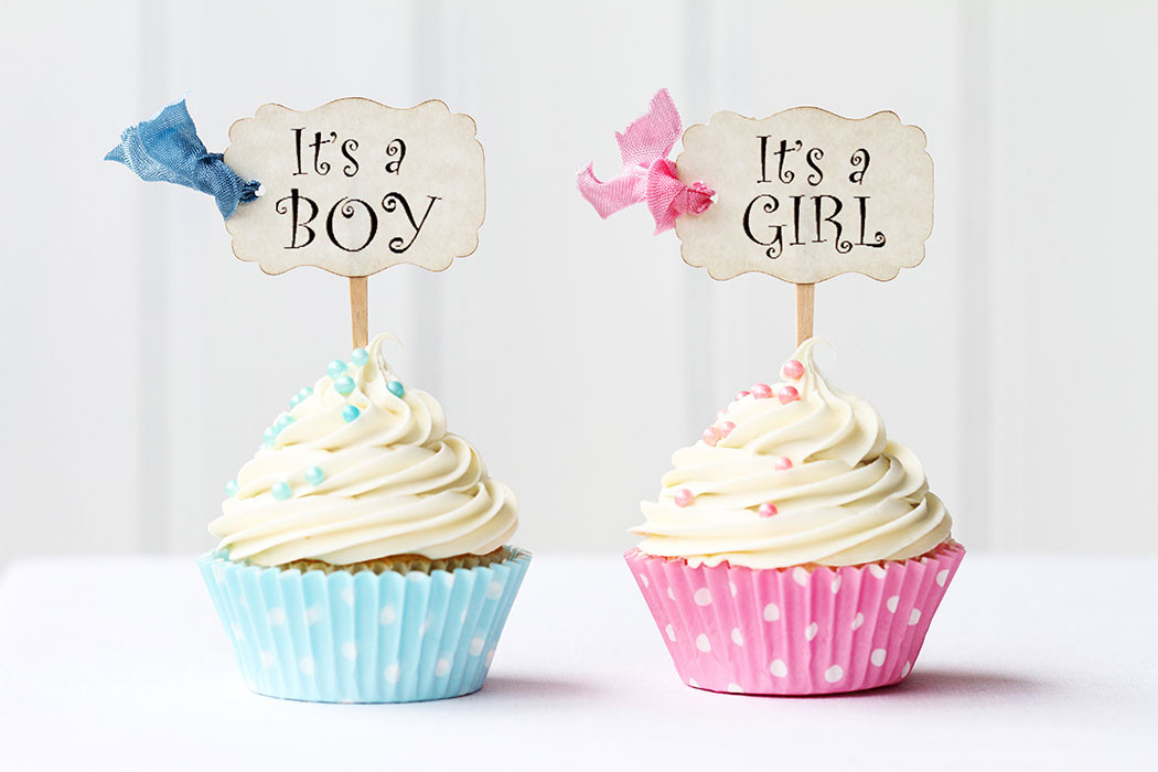 Cute Ideas For A Gender Reveal Party
 5 Cute Gender Reveal Party Ideas
