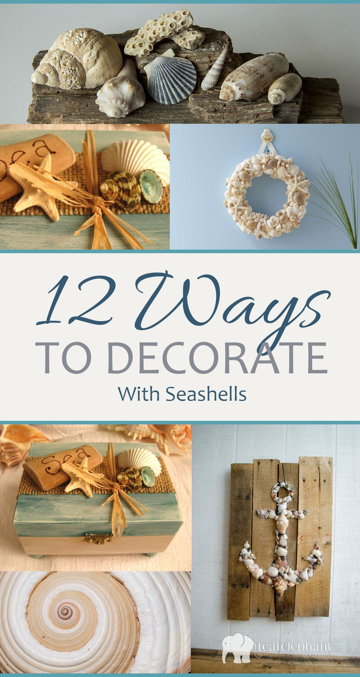 Decorative Seashell Craft Ideas
 12 Ways to Decorate With Seashells ZoomShack