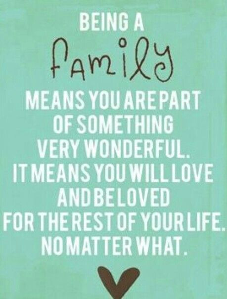 Definition Of Family Quotes
 True Meaning Family Quotes QuotesGram