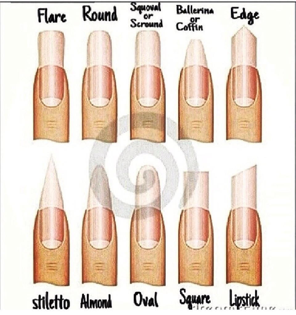 Different Types Of Nail Styles
 Different Nail Types by AC Clark Musely