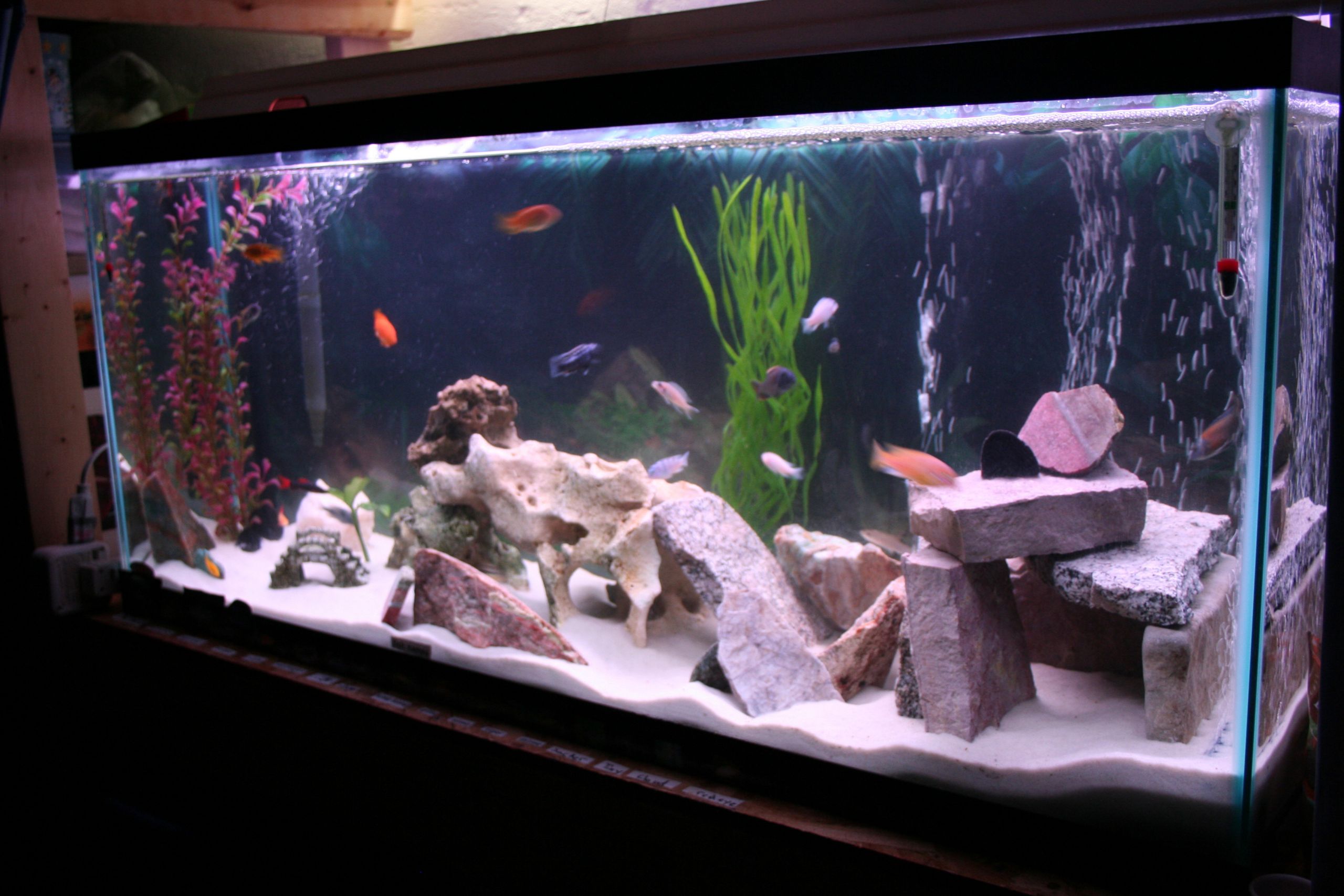 DIY Aquarium Rock Decorations
 Fish Tank Home Made Decorations
